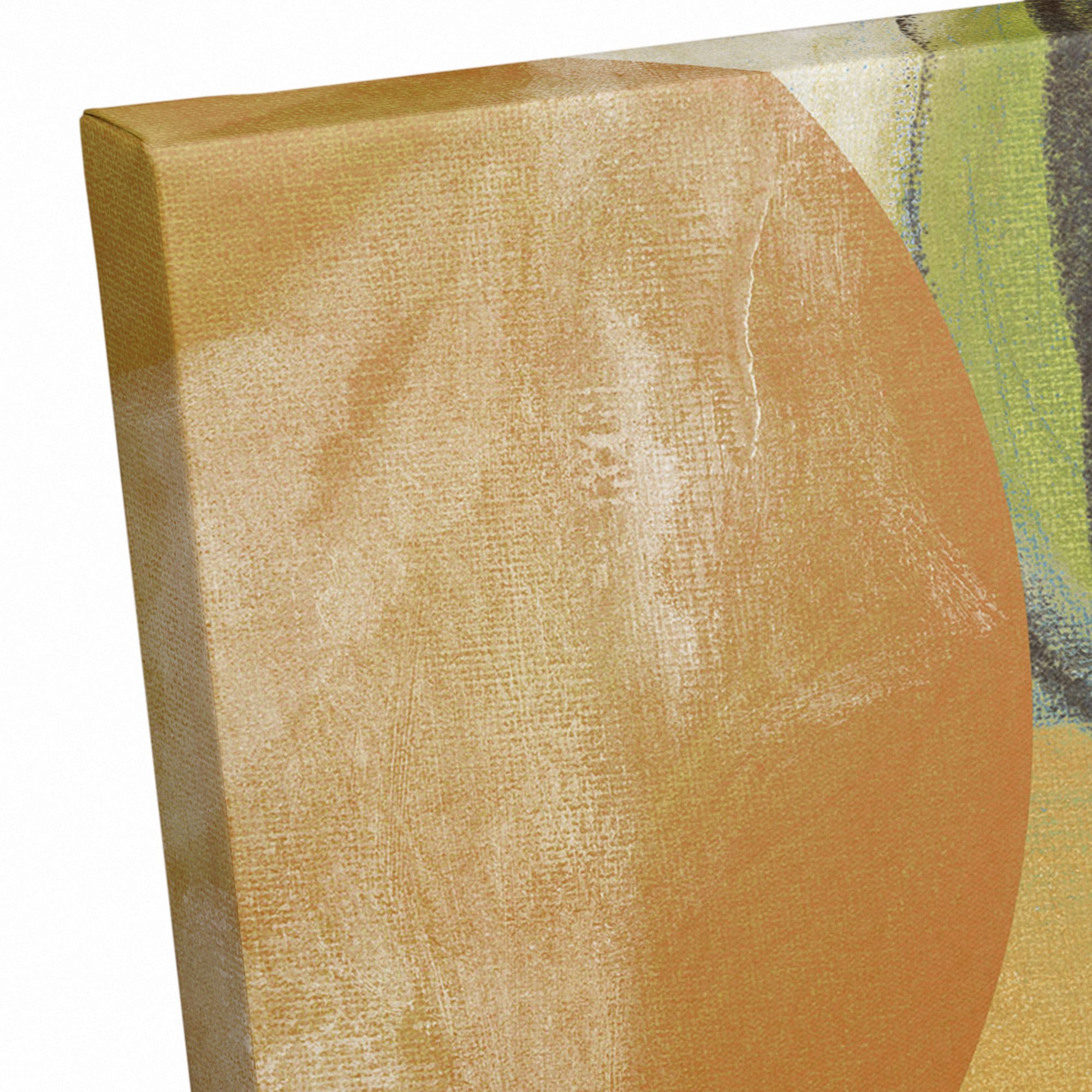 Cicle Party 24" x 36" Canvas Wall Art